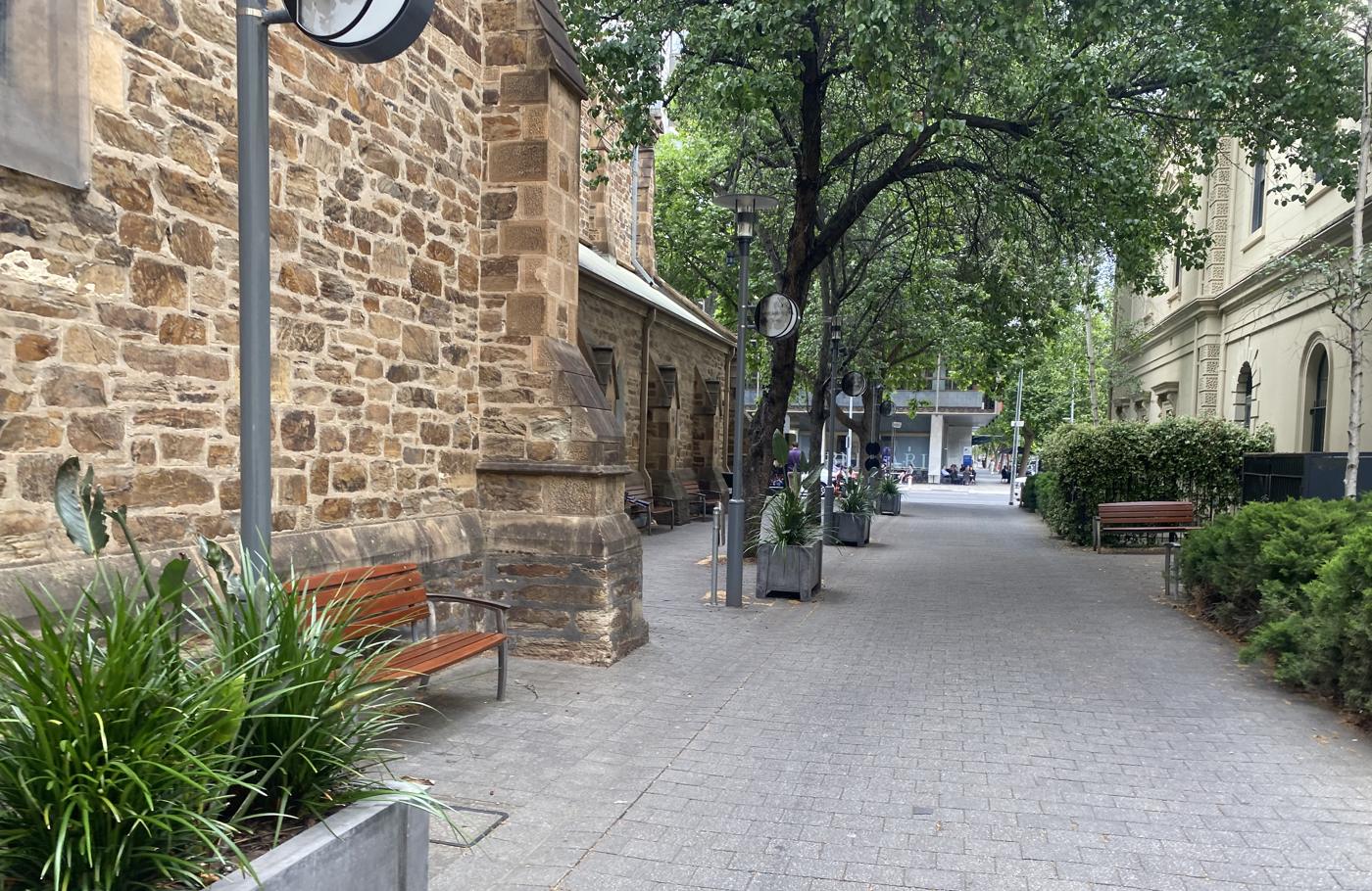 Adelaide laneway with a rubble stone wall, timber benches, planters and street trees overhead